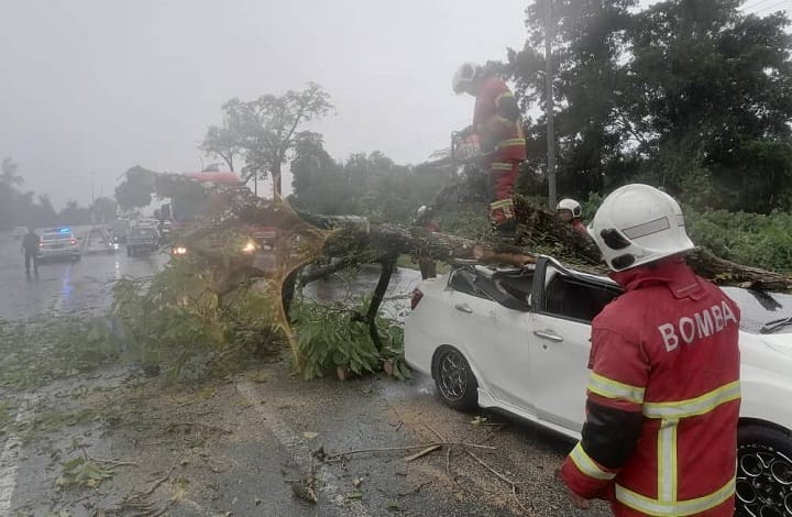 Lelaki Cedera, Pokok Tumbang Hempap Kereta di Jalan Sultan Tengah