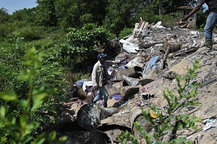 Penternak Batu Gajah Kehilangan 17 Lembu Akibat Bahan Kimia Penternak Batu Gajah Kehilangan 17 Lembu Akibat Bahan Kimia